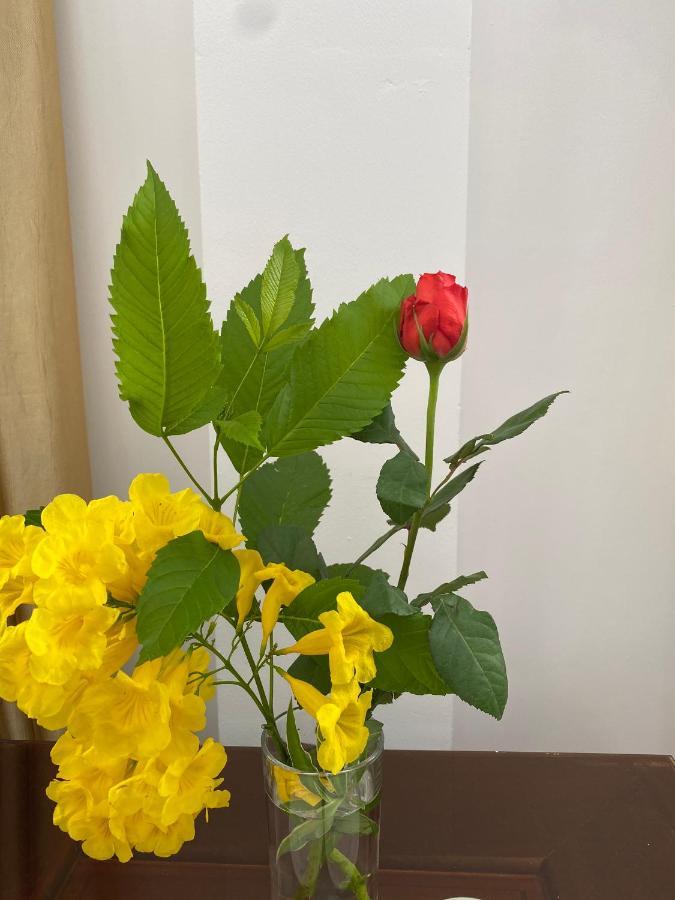 Con Dao Guesthouse Chi Khu Co Ong Zewnętrze zdjęcie
